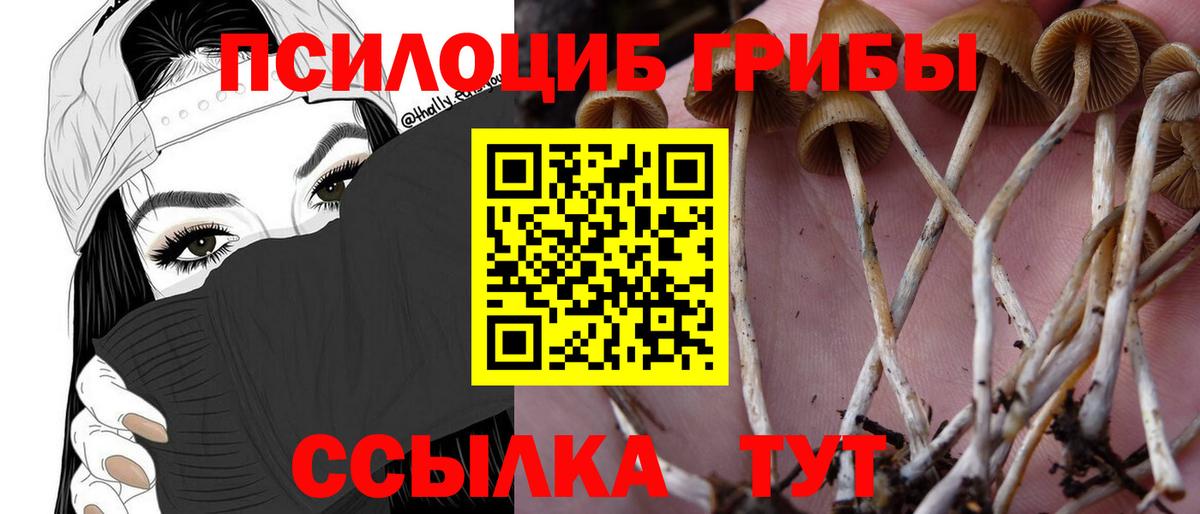 Псилоцибиновые грибы Psilocybine cubensis  Псилоцибиновые грибы Psilocybine cubensis  Вход с VPN  Кызыл 